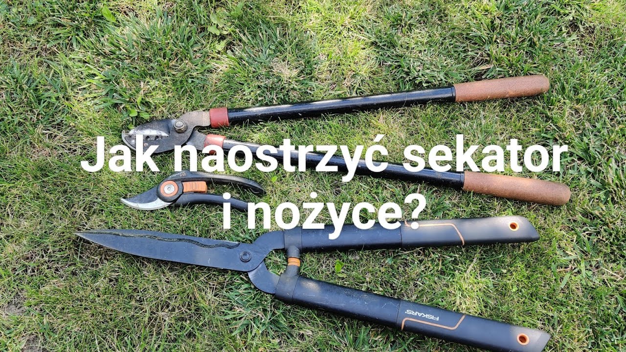 Jak naostrzyć sekator i nożyce?