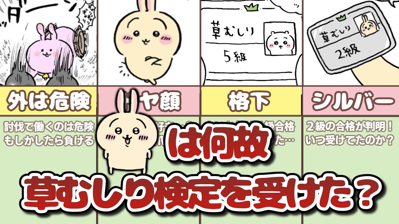 【一体なぜ？】うさぎが草むしり検定2級を取った理由を徹底考察してみた！