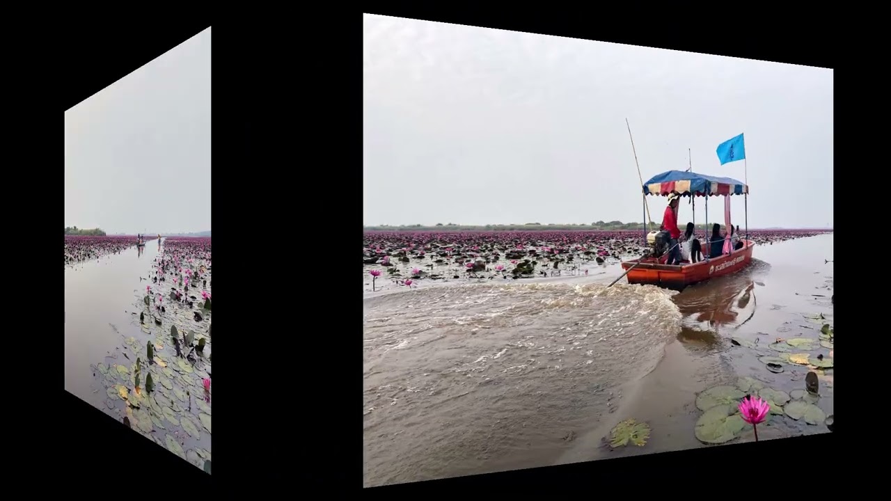 Lotus Lake in Udon Thani