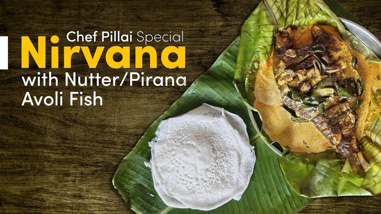 Chef Pillai Special l Nirvana with Nutter/Pirana Avoli Fish 