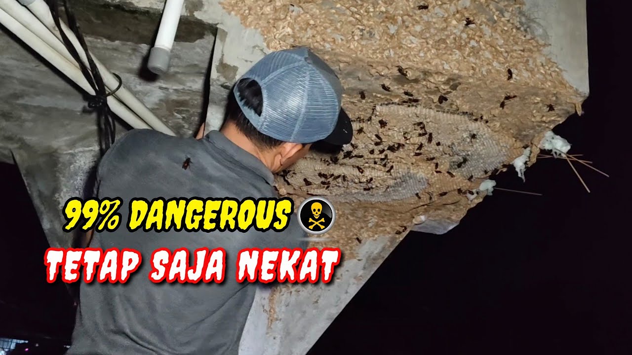 HUJAN RIBUAN TAWON PAWANG INI TETAP NEKAT@jaytawonpetualang