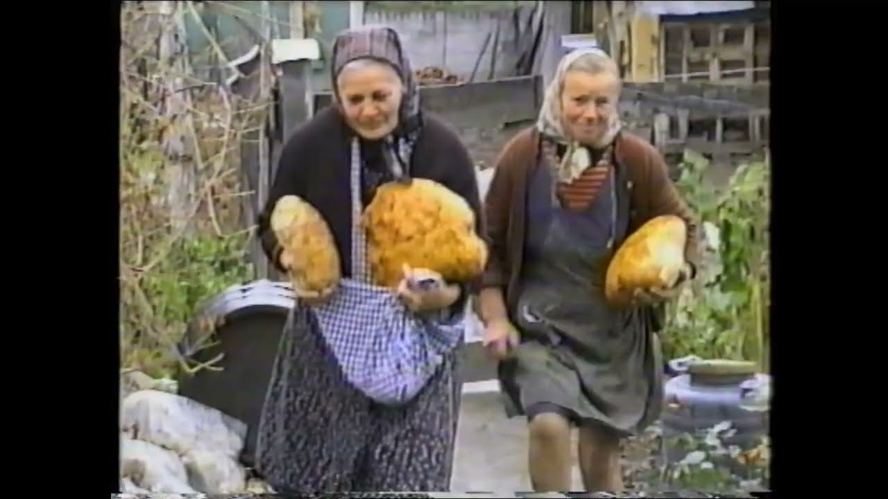 1989 Almen Brot aus dem Holzbackofen