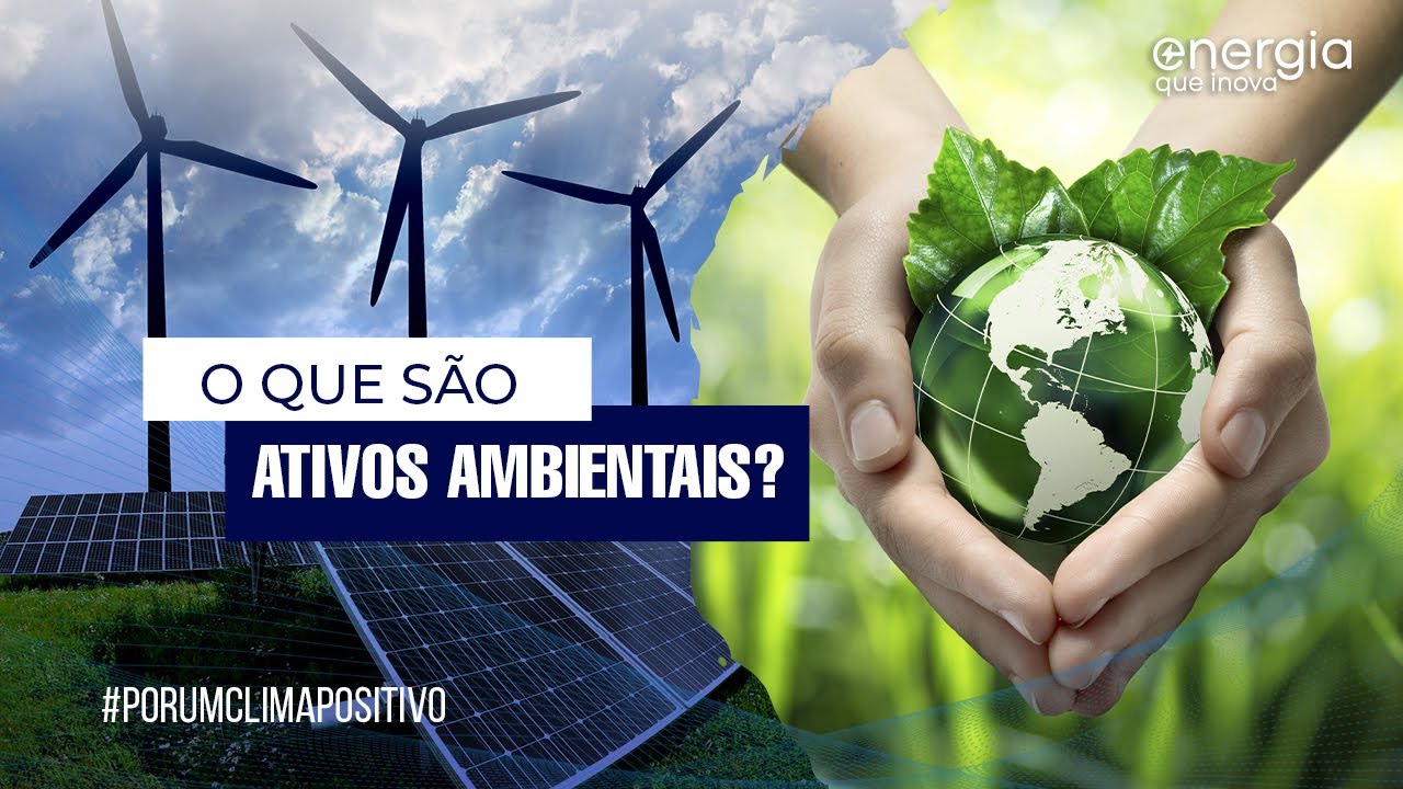O que s&atilde;o os Ativos Ambientais?