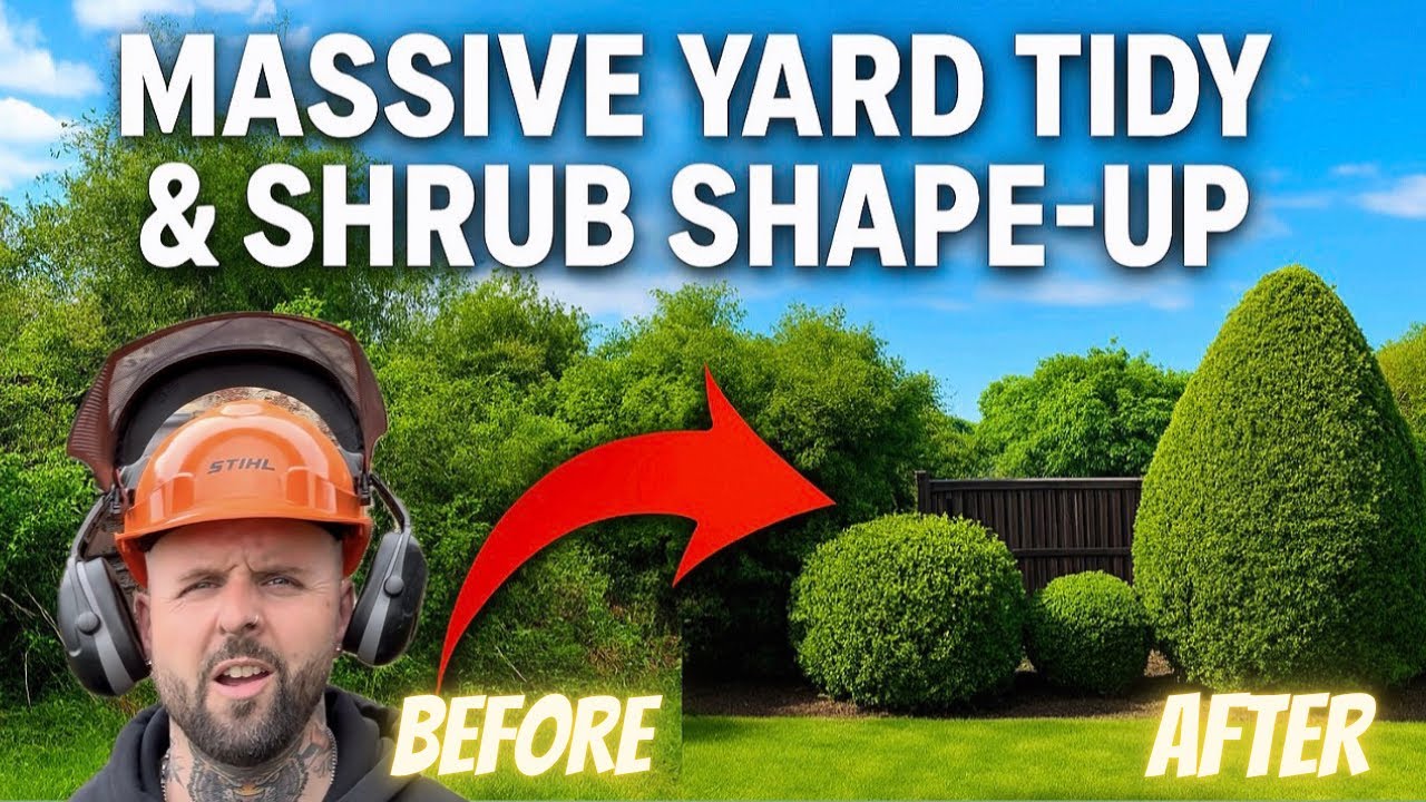 Вы бы взялись за этот огромный двор!!! 