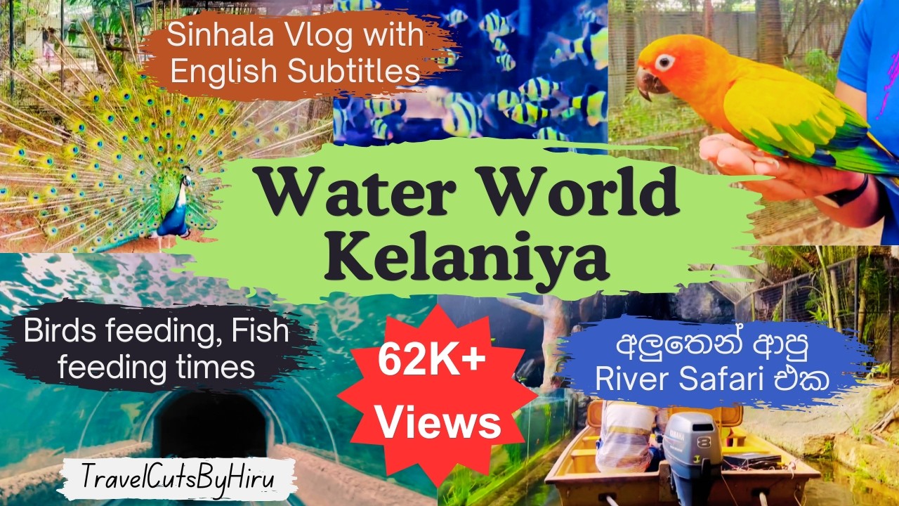 Water World Kelaniya Sri Lanka | River Safari | Underwater Tunnel | Vlog 11 | TravelCutsByHiru