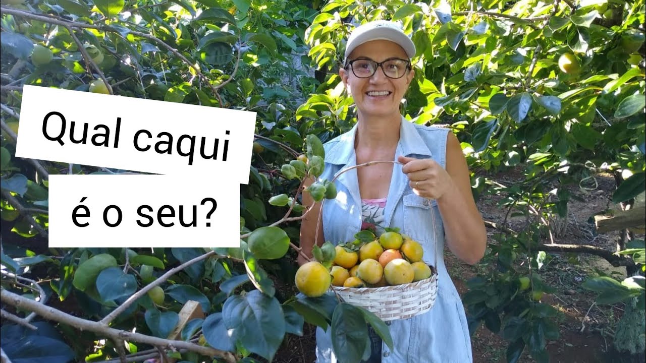 Tipos de CAQUI: doce, variável e taninoso