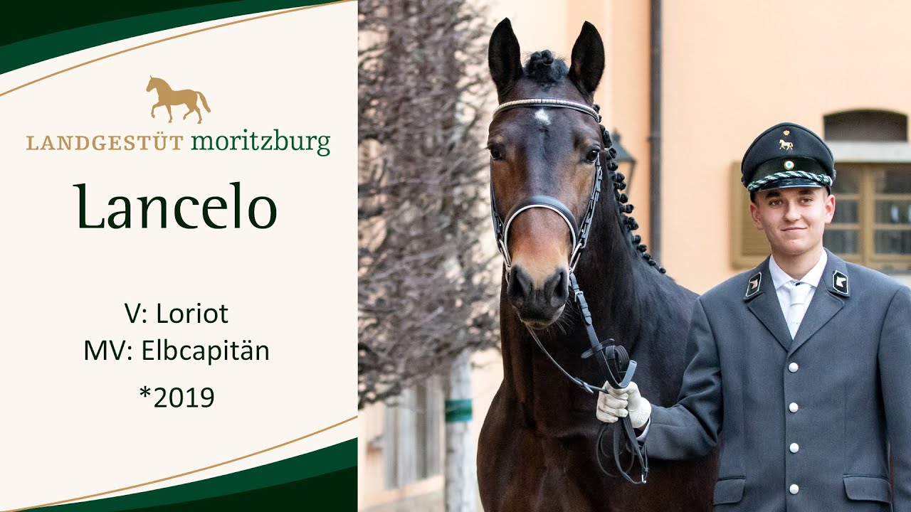 LANCELO v. Loriot - Elbcapitän