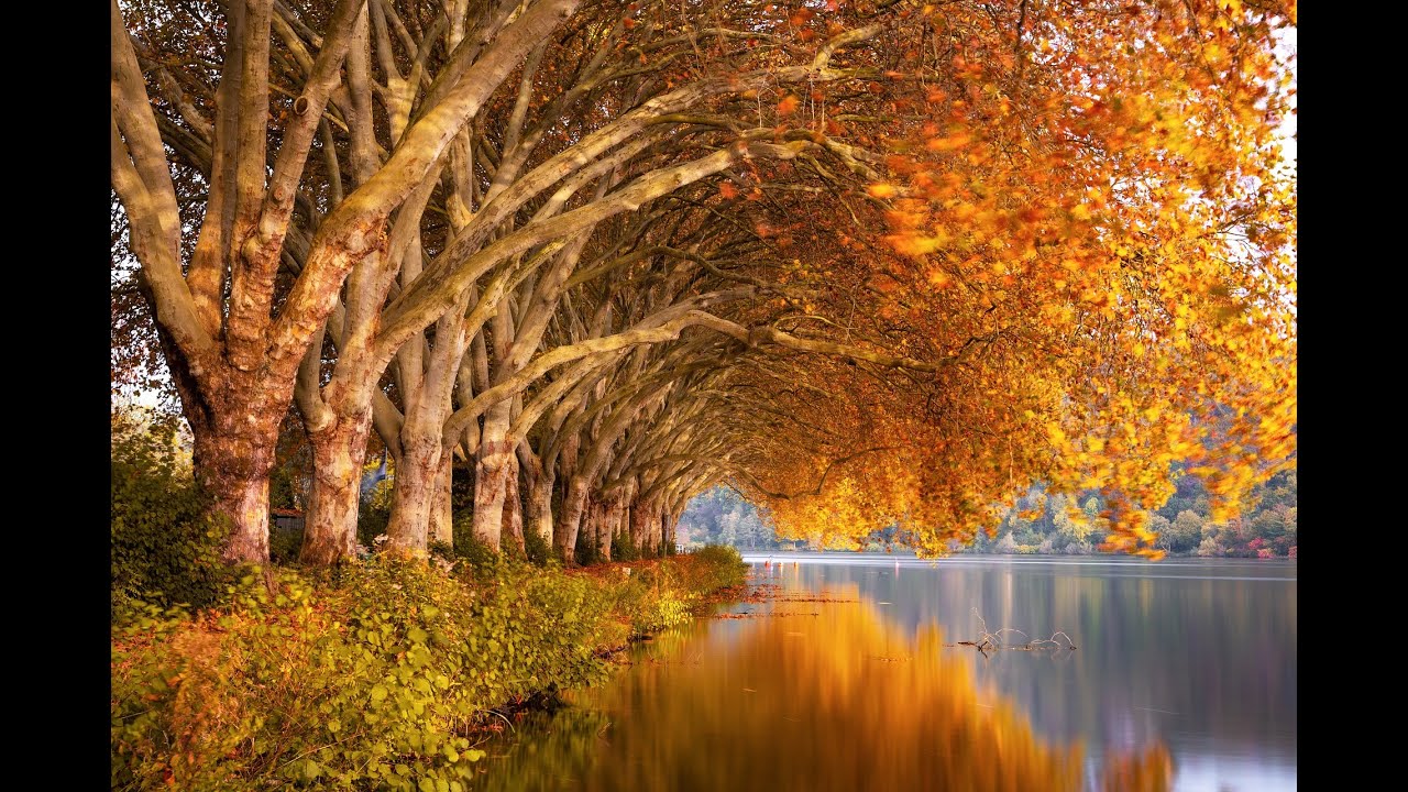 Vivaldi - (The four seasons) - Autumn, Вивалди - (Четирите годишни времена) - Есен