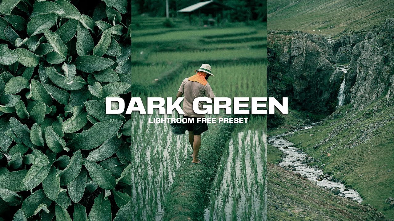 Dark Green Tone Preset Tutorial 🌲 | Cinematic Moody Green Lightroom Edit