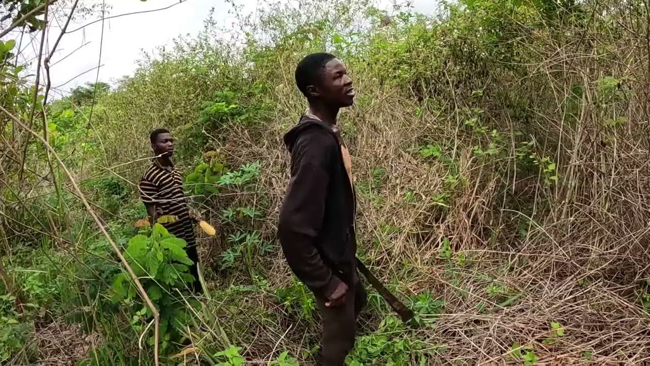 Les soldats des travaux champêtres sont déjà présents pour la nouvelle saison.. 