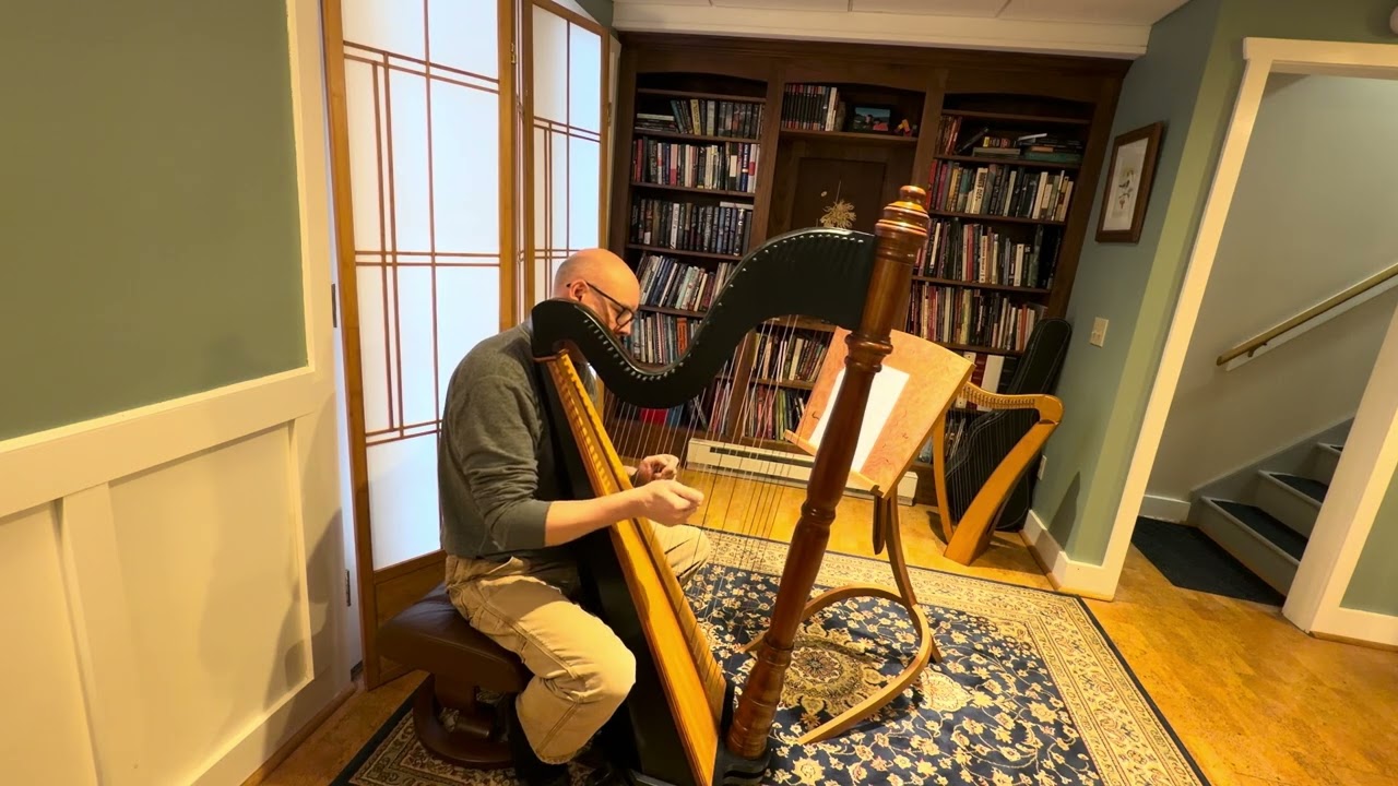 Definitely not Mozart- My first attempt at learning the harp