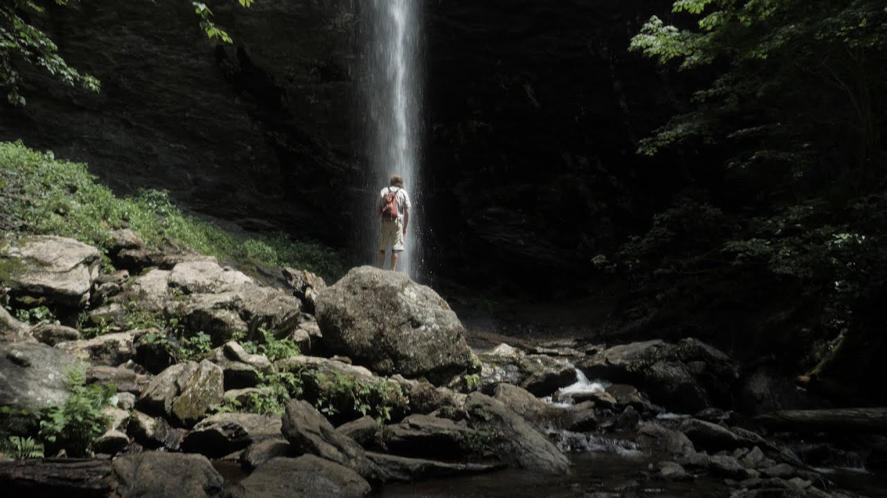 Brushfire Stankgrass - Pretty Ass Blue Ridge Mountain Shit