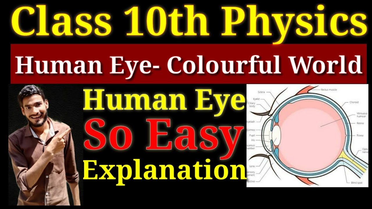 Class 10th Physics || Human Eye - Colourful World || Human Eye  in easy way||