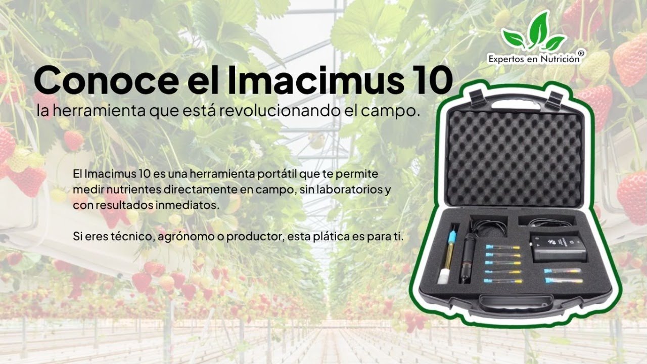 Conoce el Imacimus 10