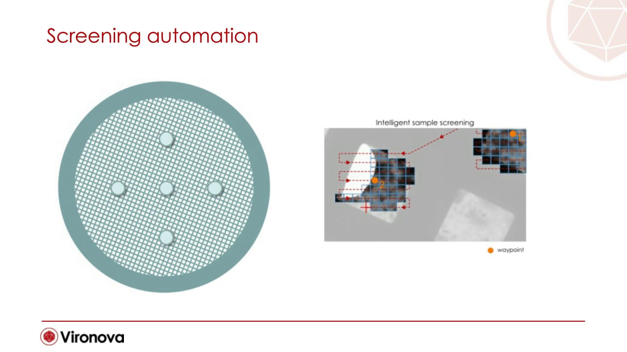 How MiniTEM benefit your Automated Purity Analysis, Packaging of Gene Therapy Vectors & VLPs work.