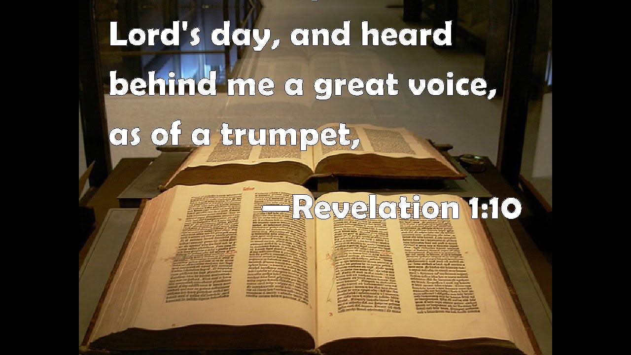 Prophecy Shofar