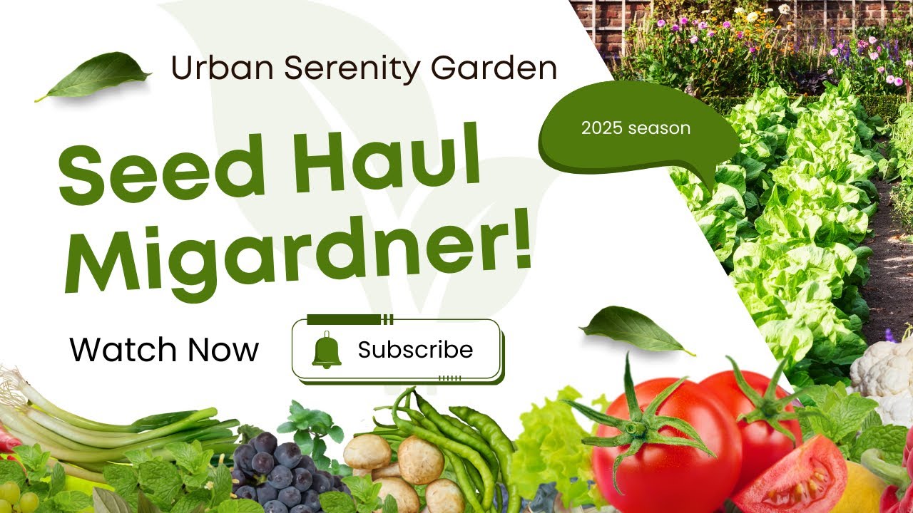 Seed Haul- MIgardener 2025 season