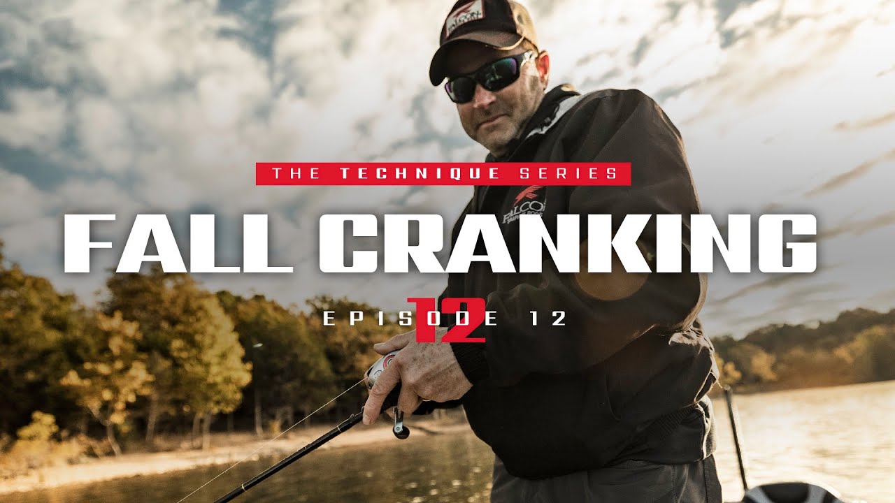 The Technique Series: 