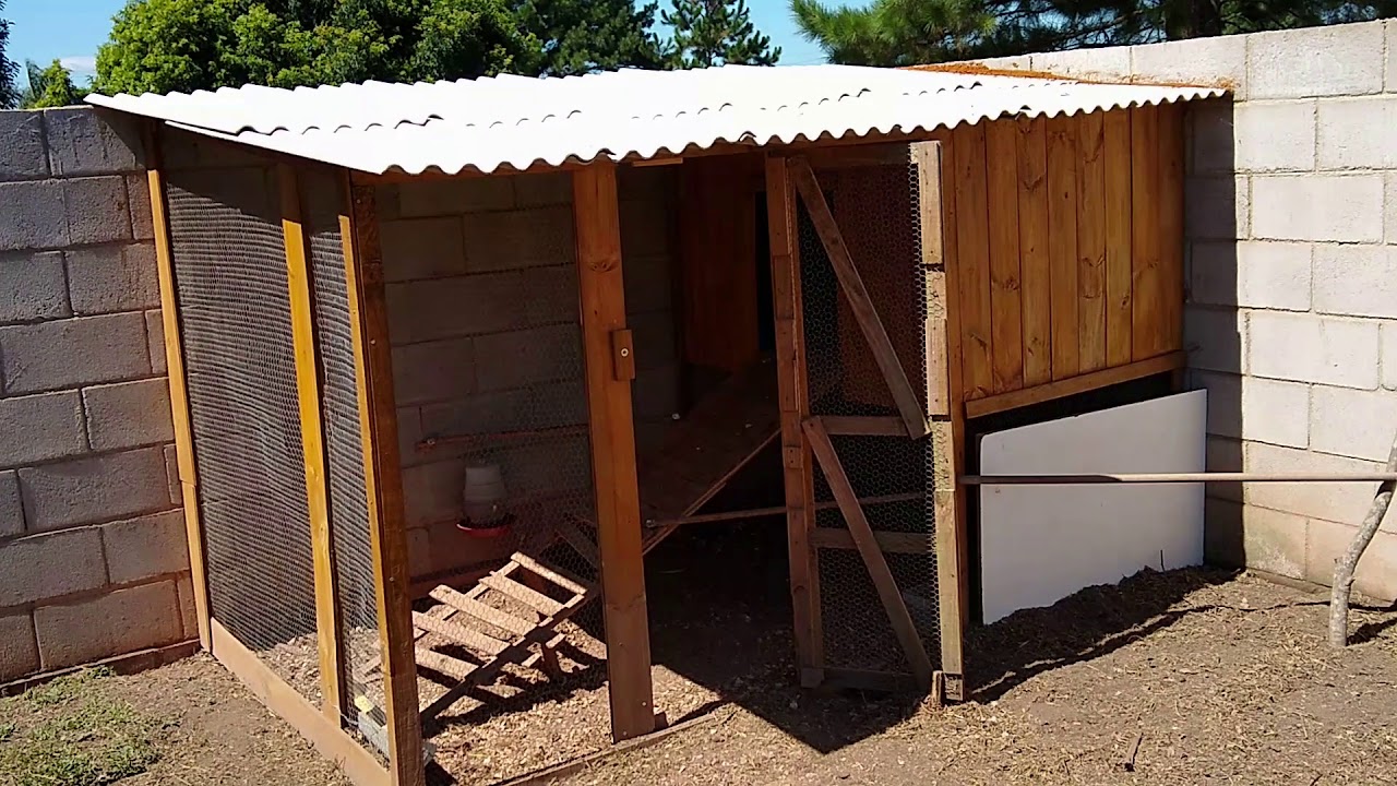 Criação De Galinhas  - Dicas de Galinheiro - Galinheiro em espaço pequeno - Galinheiro em Casa