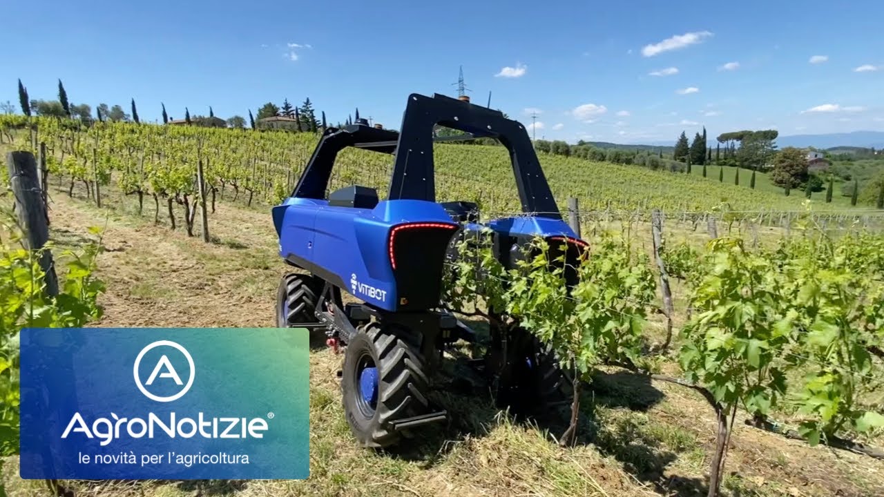 In vigneto con il robot
