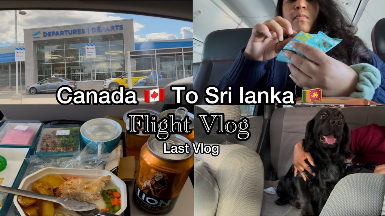  Canada 🇨🇦 to Sri lanka 🇱🇰 Flight Vlog | Flight Experience ✈️| Vlog | sinhala 