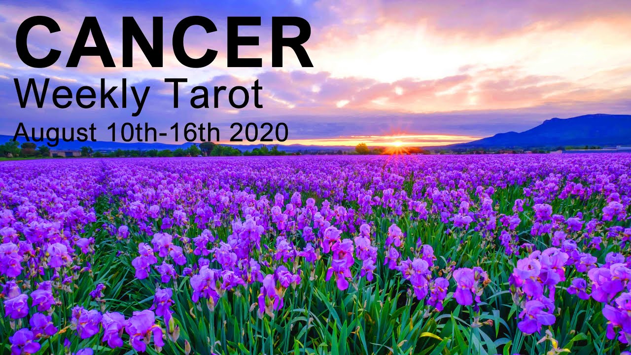 CANCER WEEKLY TAROT READING 