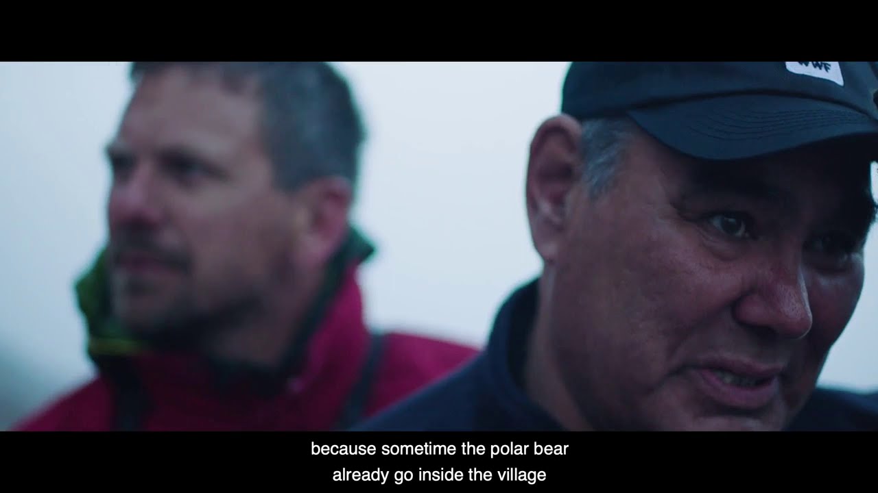 Greenland Polar Bear Patrol