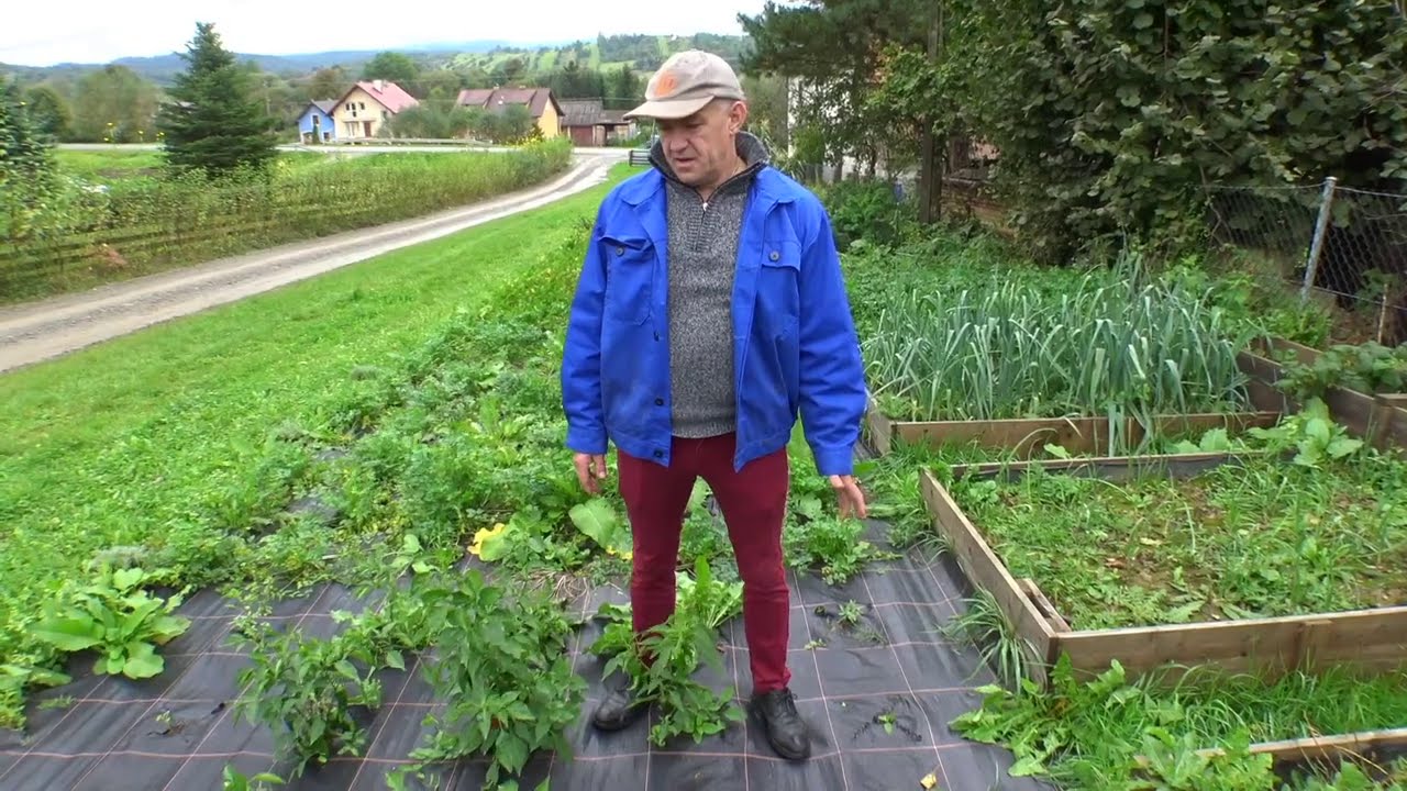 Podwyższone grządki -  podsumowanie sezonu (październik 2020)
