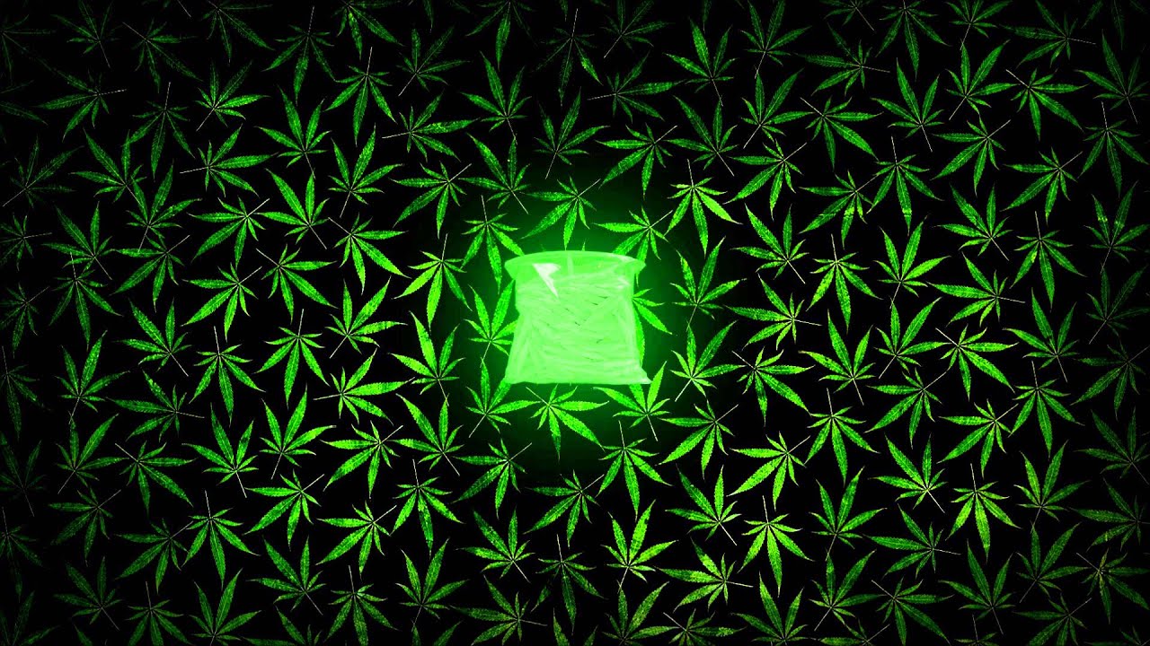 Jayline - Ganja Farmer