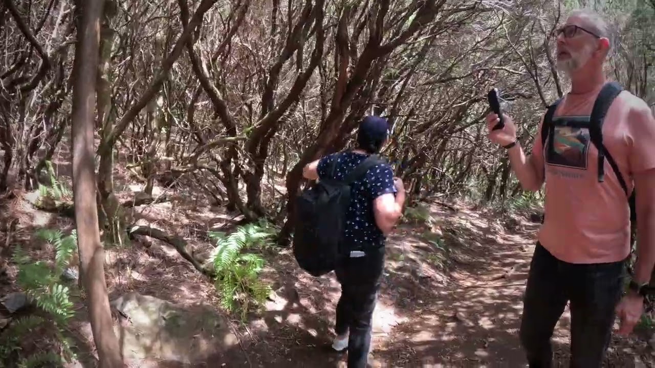 #Madeira  #Calheta  #Levadadas25fontes