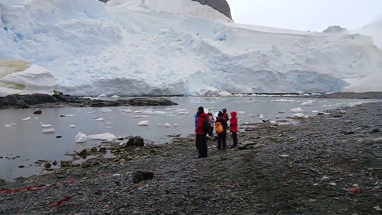Ekener Point Antartica 