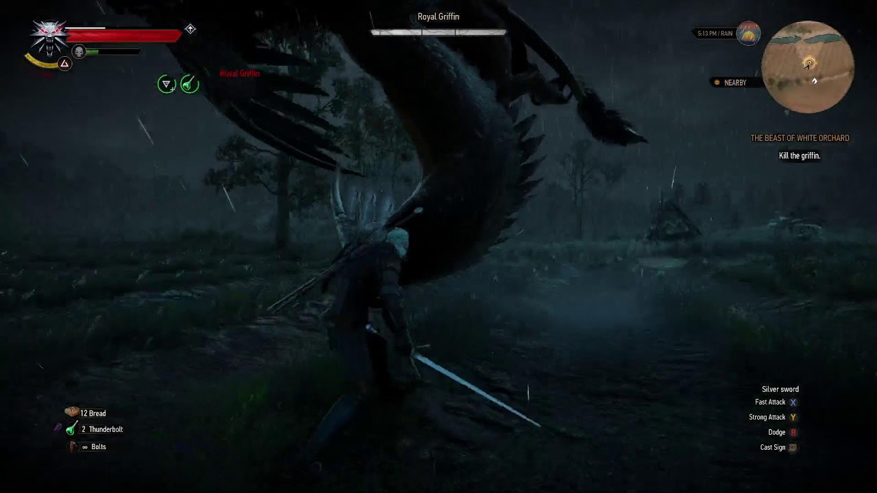 witcher 3 from the start