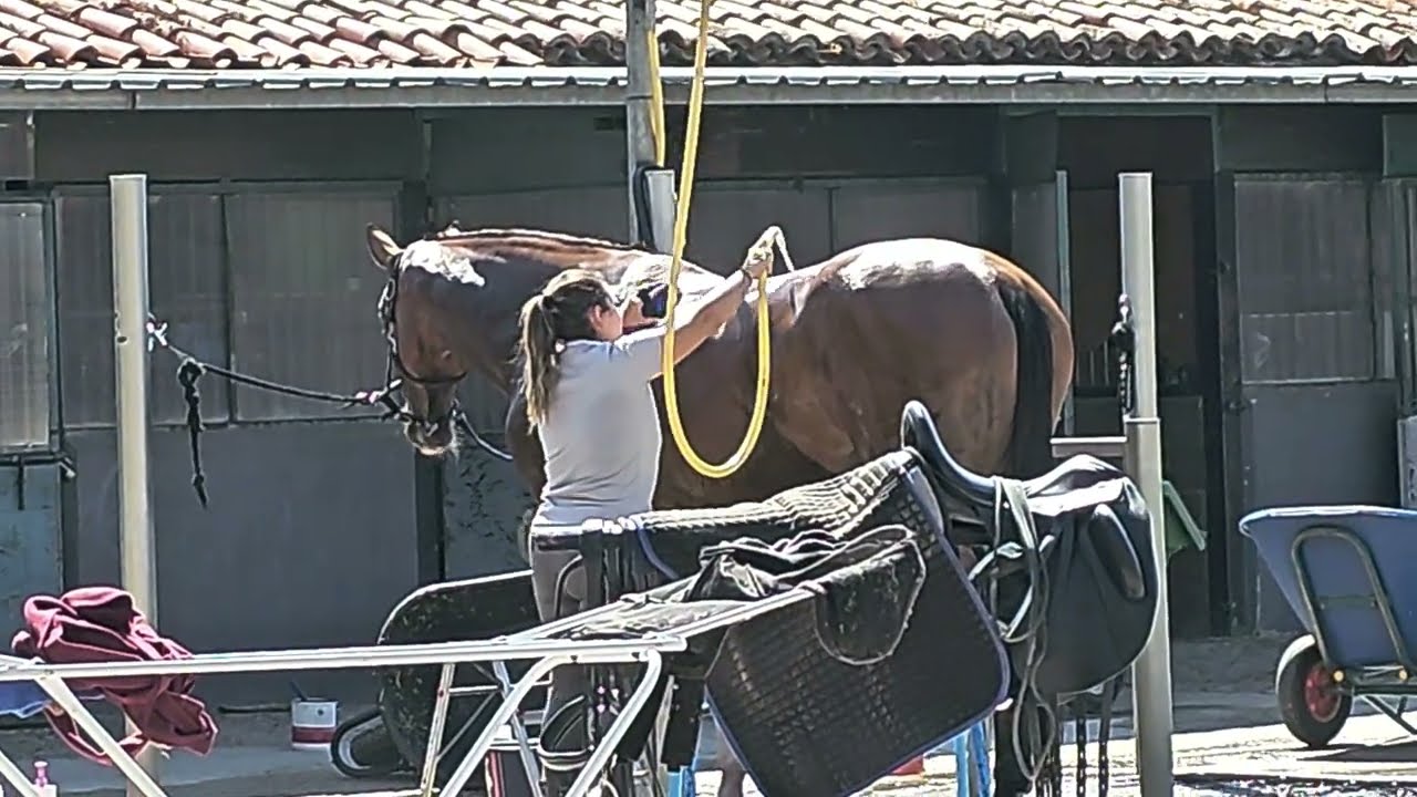 24 de agosto de 2025