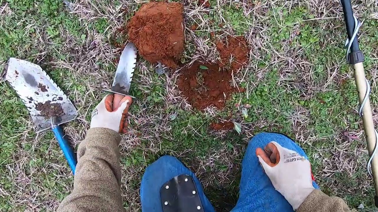 Metal detecting 