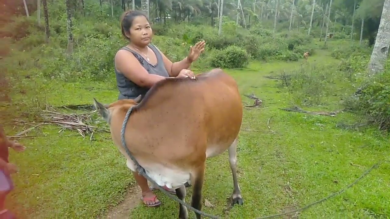 Watch until the end it's so painful