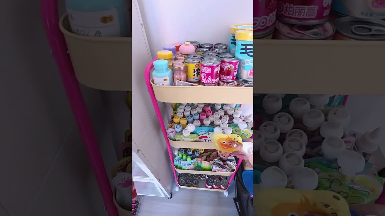 A 24-year-old full-time self-media creator s cat-keeping vlog I really want to move Oh my