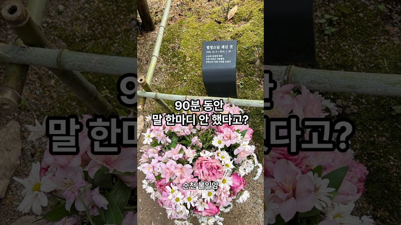 불교 늬우스 