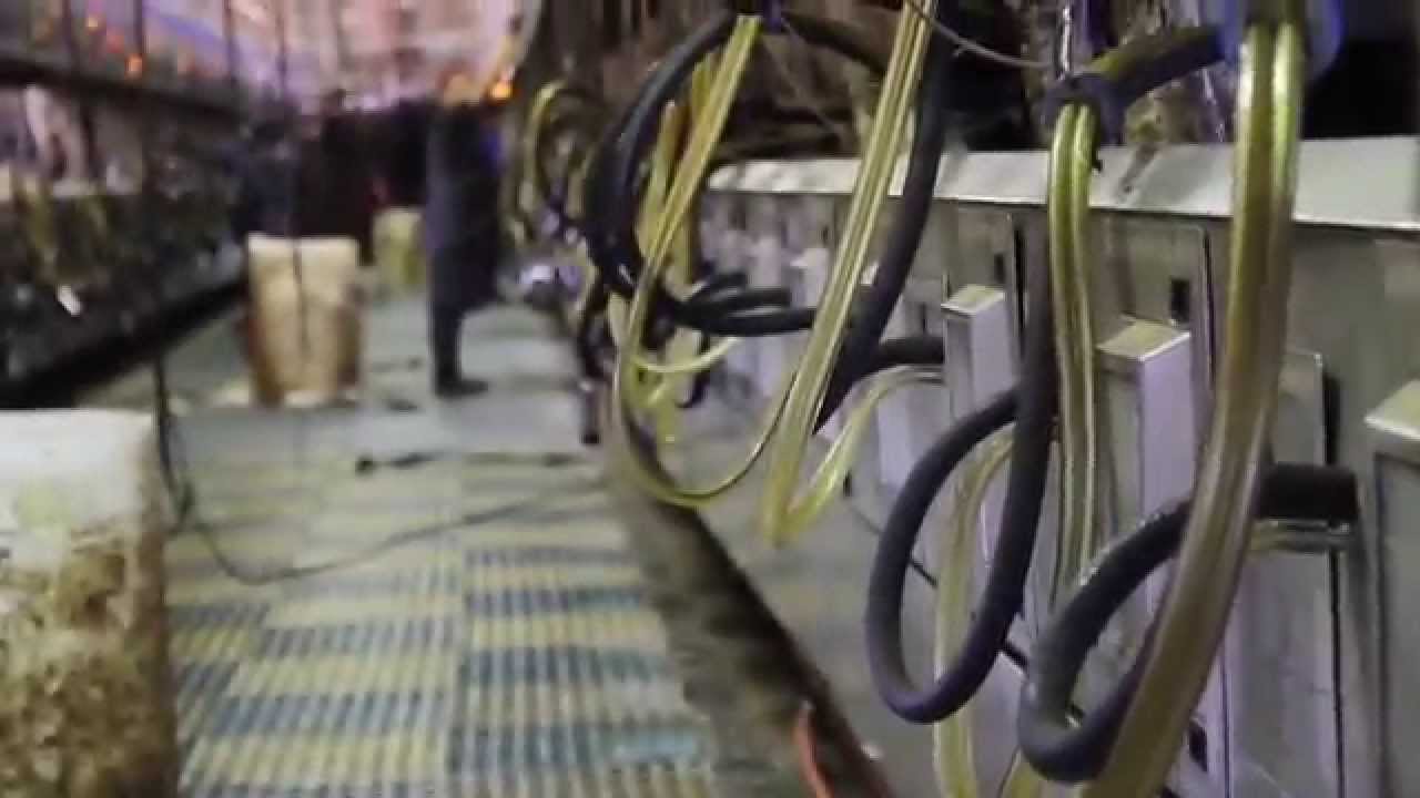 The Green Tour - Ithaca College Jumpstart 2014