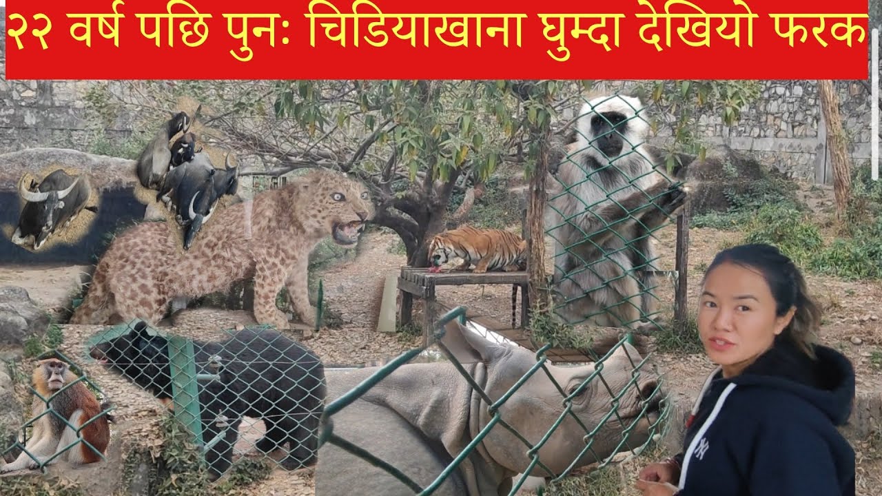 २२ वर्ष पछि चिडियाखाना घुम्दा देखियो फरक😊 सानो हुँदाको याद सम्झिदै #zoo #bimlaale 