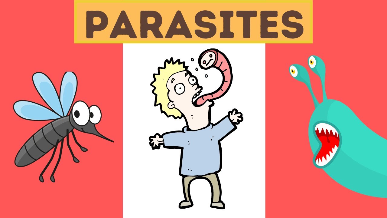 What is a parasite? Definition and Examples