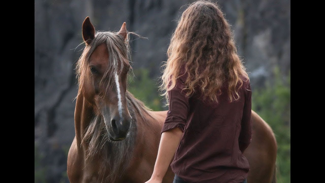 Liberty work after 3 months with Feenja [Mustang Makeover 2018]