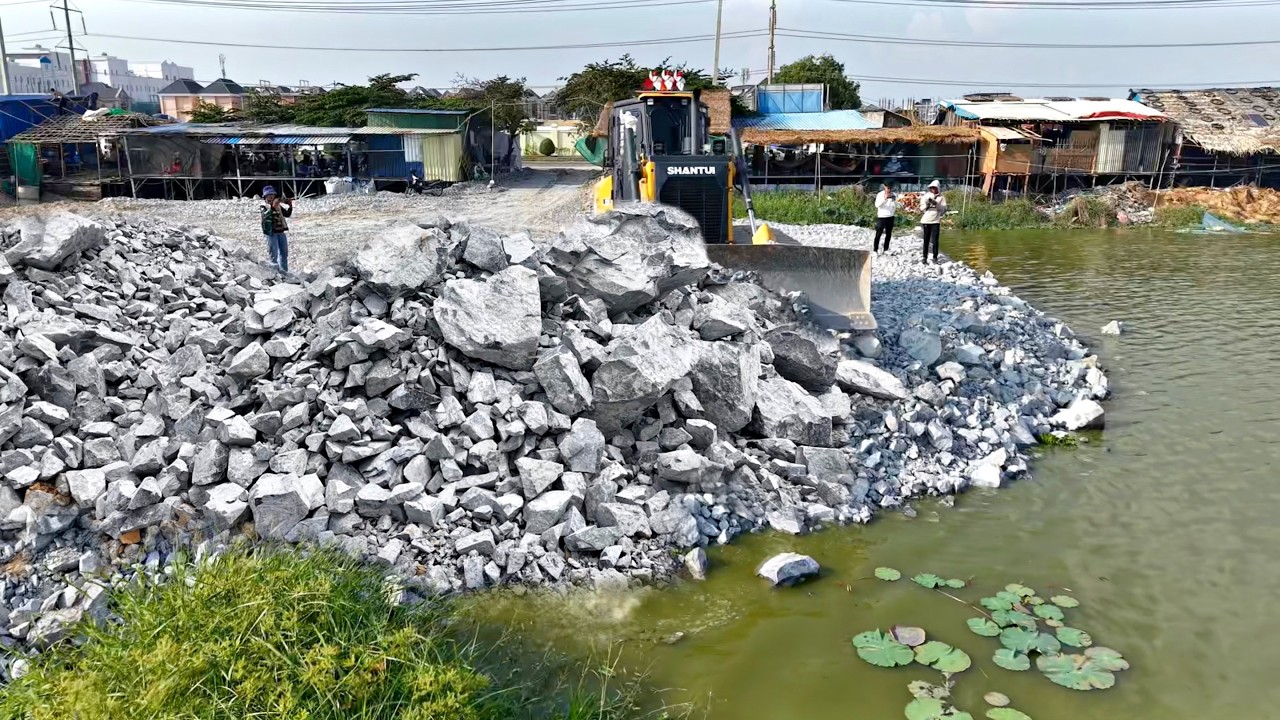 Fantastic Project! Bulldozer SHANTUI C3 Push Stone Filling Lake & DumpTruck 10Wheel Unloading Stone