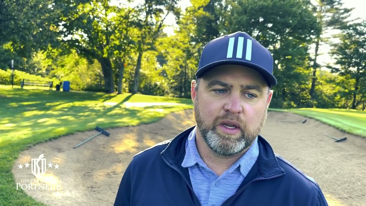 🪲 Le scarabée japonais