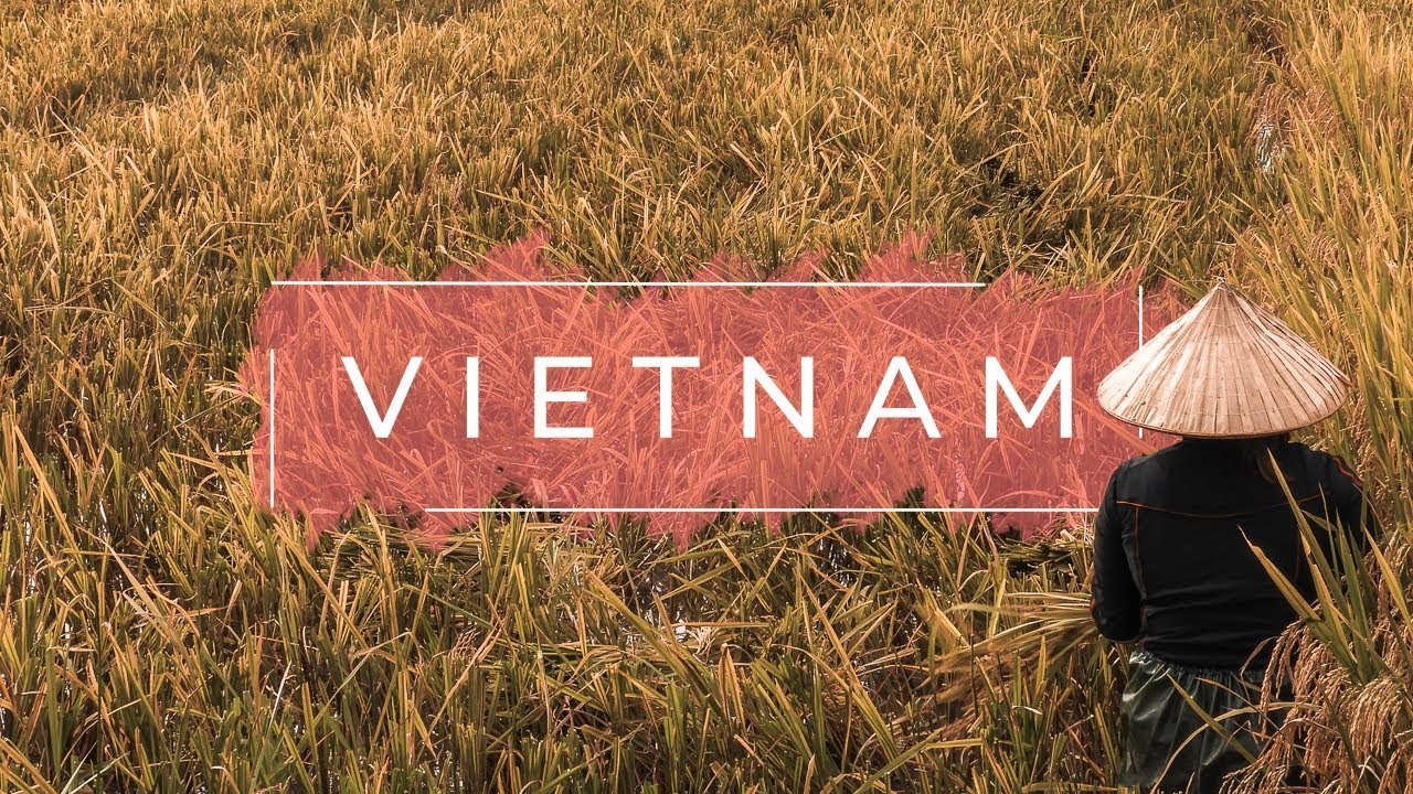 VIETNAM | Un viaje de norte a sur // Travel Video