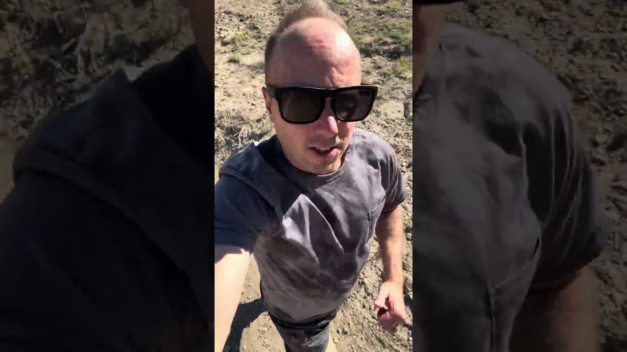 Altra, Roark, and Stance running test