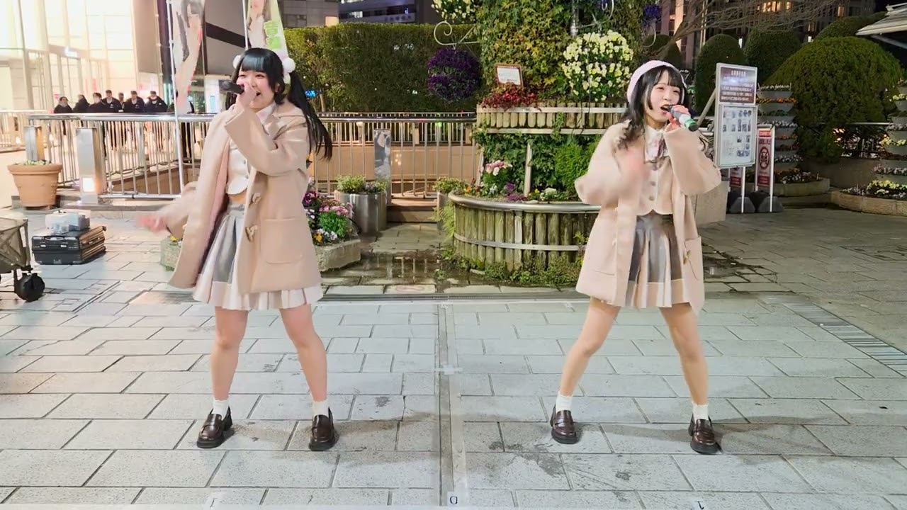 2026/1/28 水曜桜ものがたりライブ③　SAKURA（さくらせぞん）