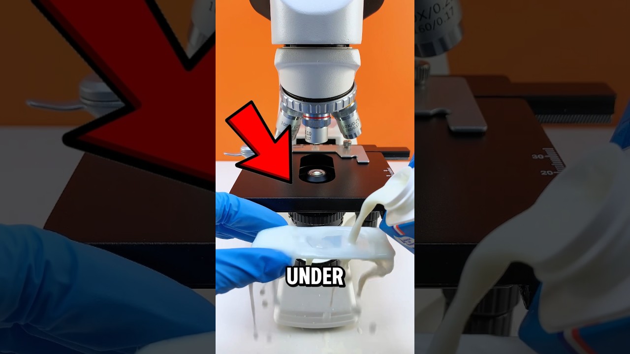 Have you seen milk under a Microscope? 😨