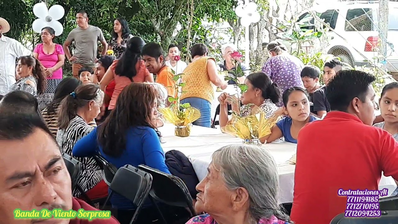 banda de viento sorpresa puros de antaño chingones