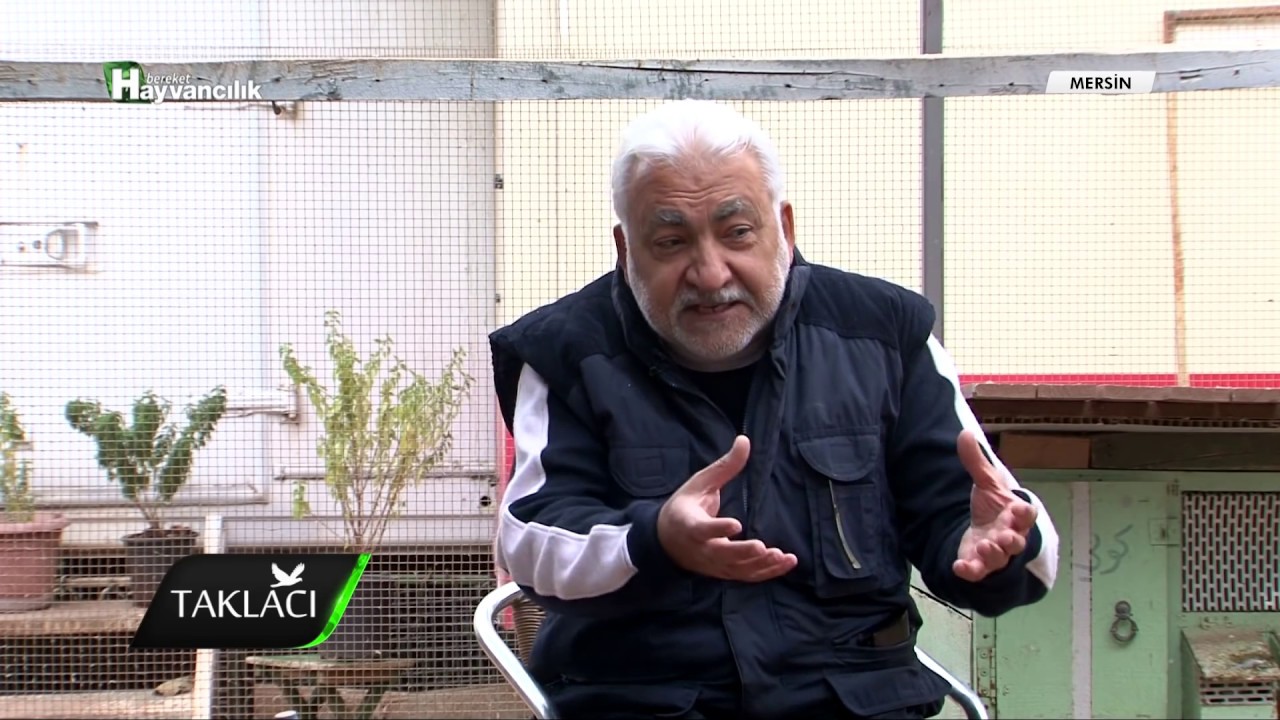 Taklacı - Mersin Güvercin Sohbetleri / 2.Bölüm