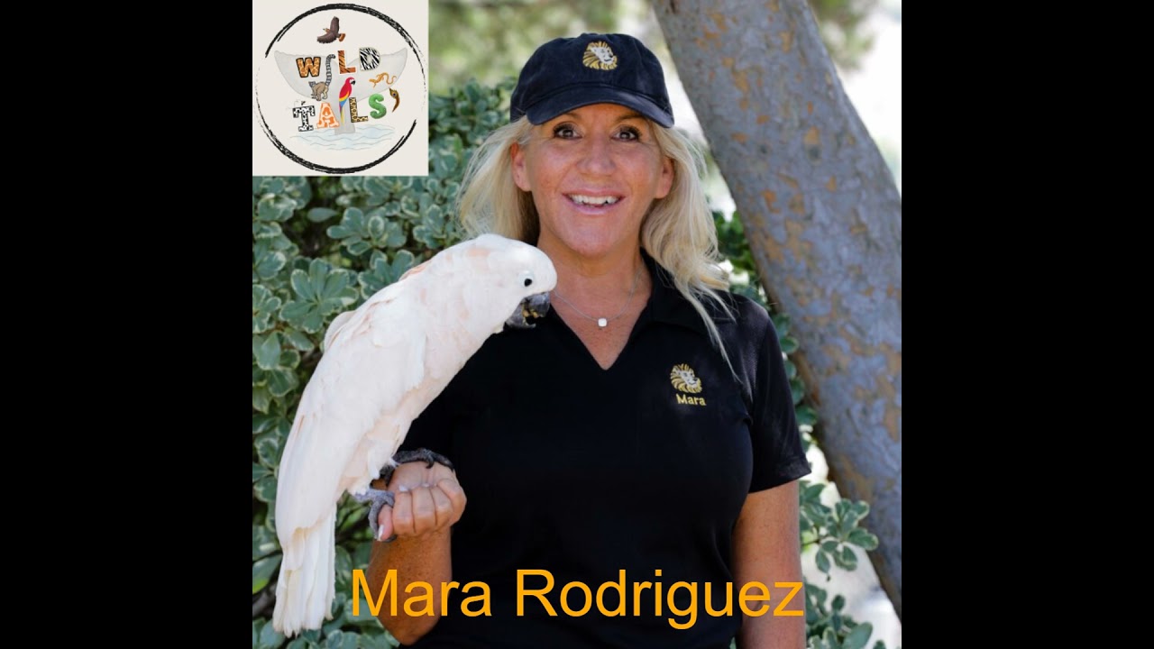 Episode 6: Showbiz Surprises with Mara Rodriguez